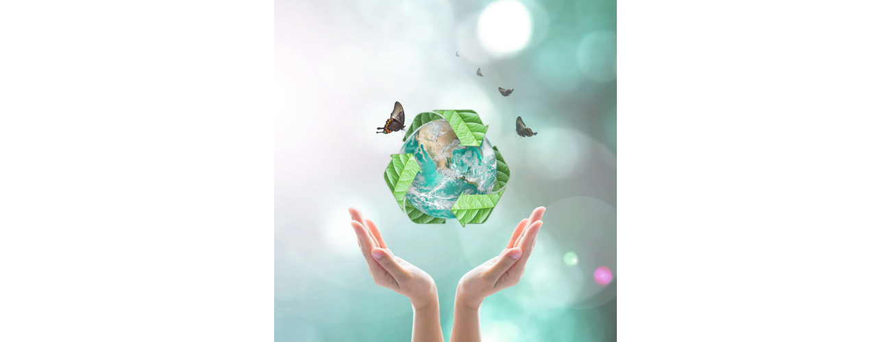 WHY SHOULD YOUR BUSINESS USE ECO-FRIENDLY SMART CARD PRODUCTS
