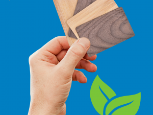 HOW CAN YOUR BUSINESS BECOME MORE ECO-FRIENDLY THIS YEAR?